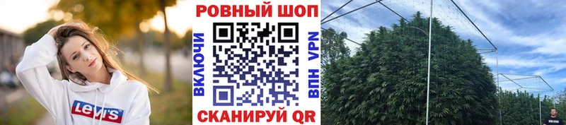 Где можно купить наркотики Кудрово АМФ Марихуана МДМА COCAIN