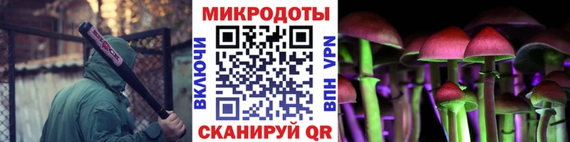 как найти закладки  Кудрово  Псилоцибиновые грибы мицелий 