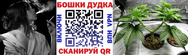 что такое наркотик  Кудрово  Шишки марихуана гибрид 